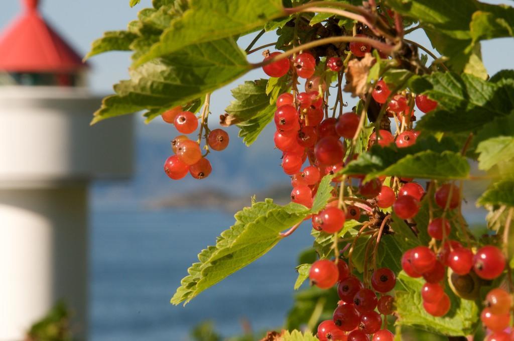 Bed and Breakfast Ulvesund Fyr Raudeberg Екстер'єр фото